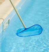 Pool Service and Maintenance